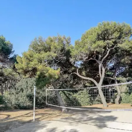 Lägenhet Vue Et Pieds Dans L'eau