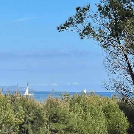 Vue Et Pieds Dans L'eau Hyères